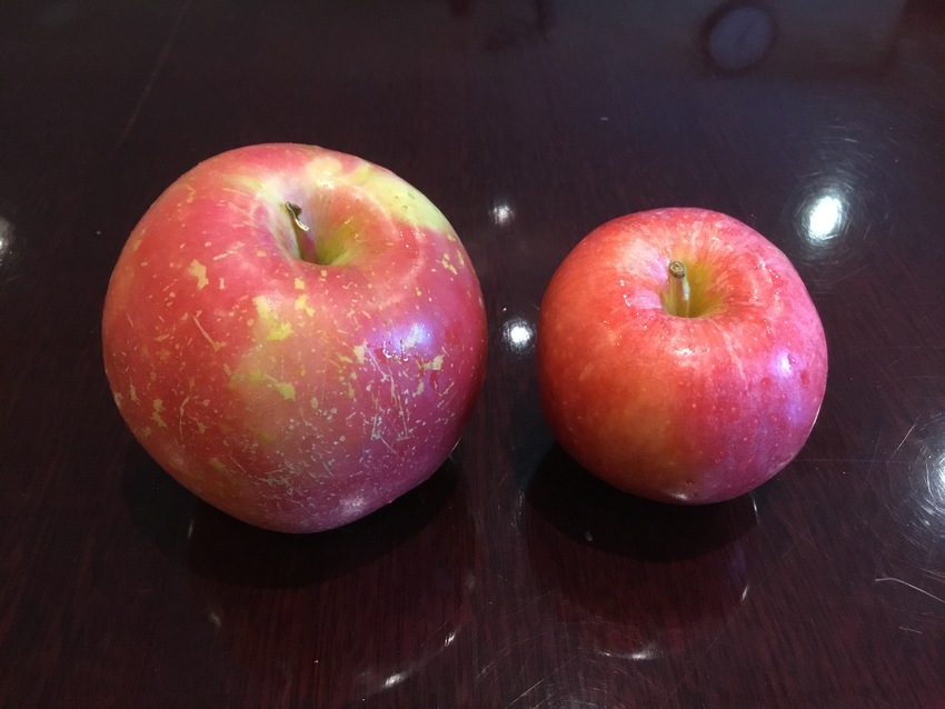 Fuji and Gala Apple