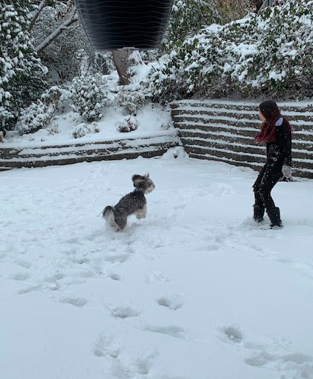 SUKI LOVING THE SNOW!!