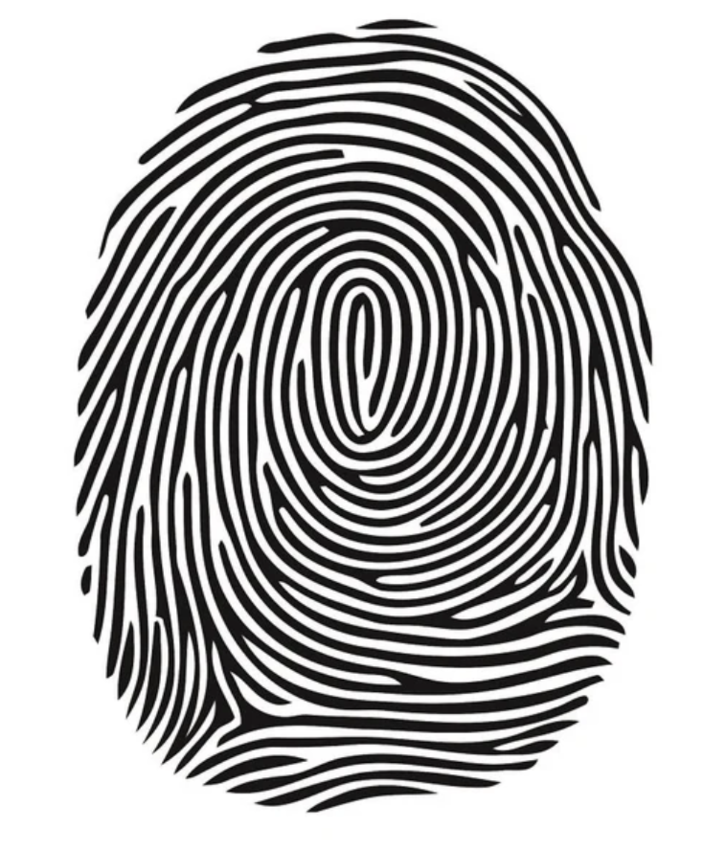 In palmistry, whorl fingerprints...