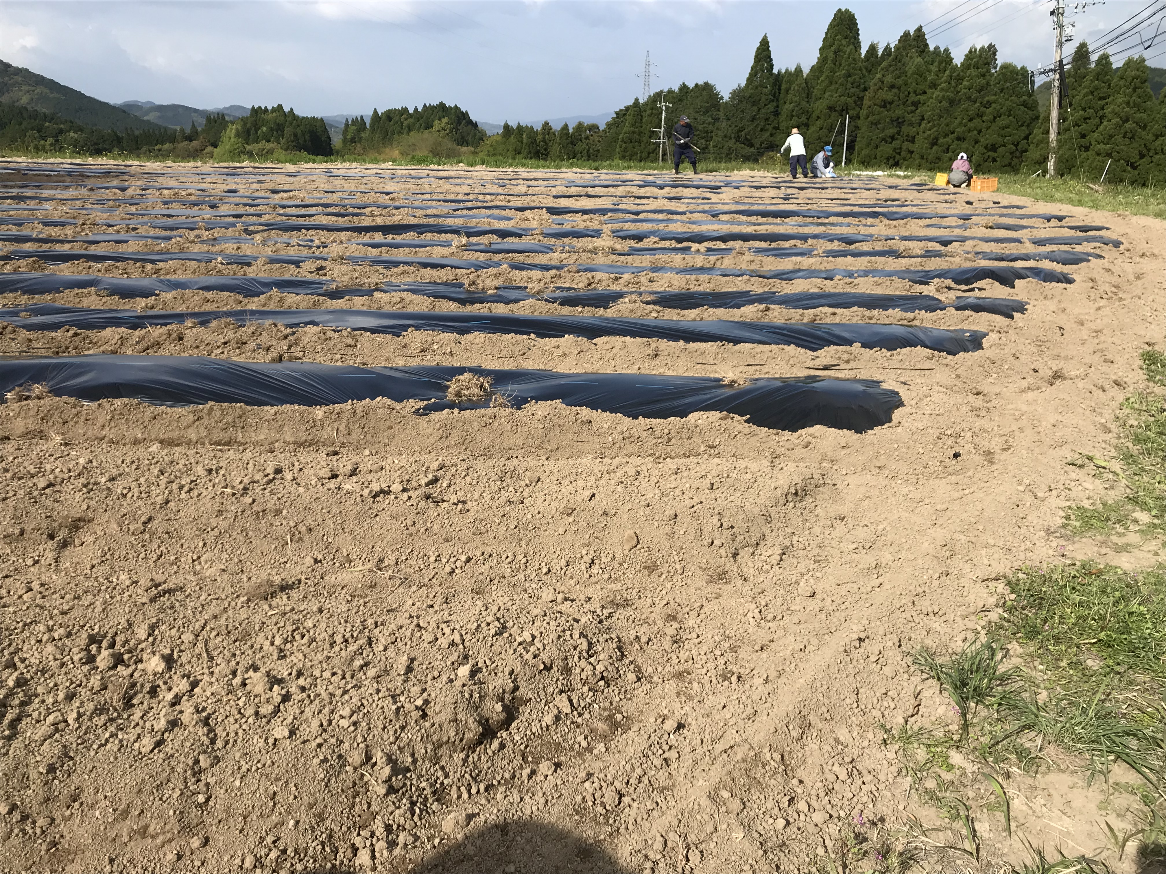 熊本地震からの復興 Bloguru