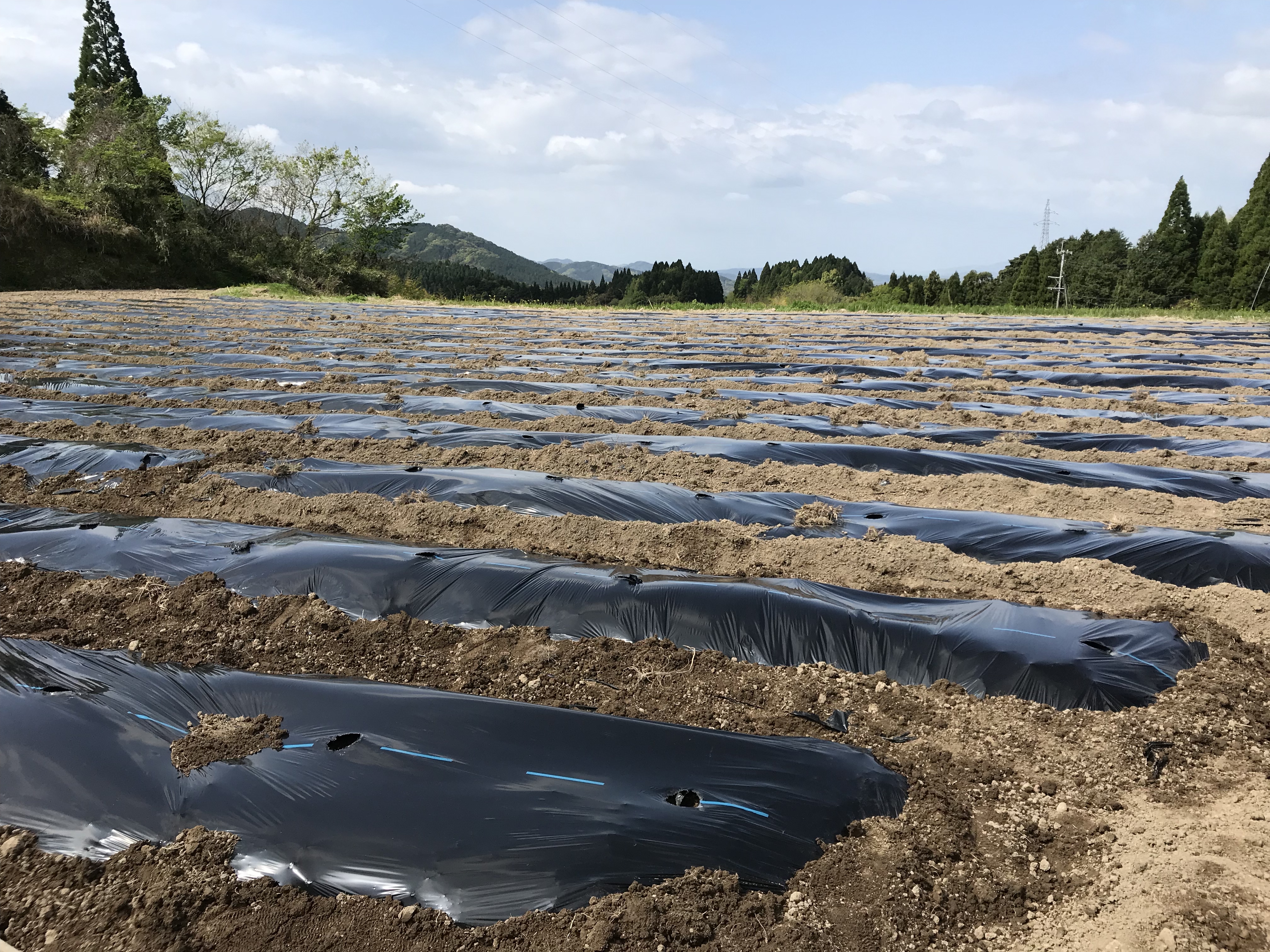 熊本地震からの復興 Bloguru