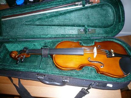とうとうバイオリンを始める。