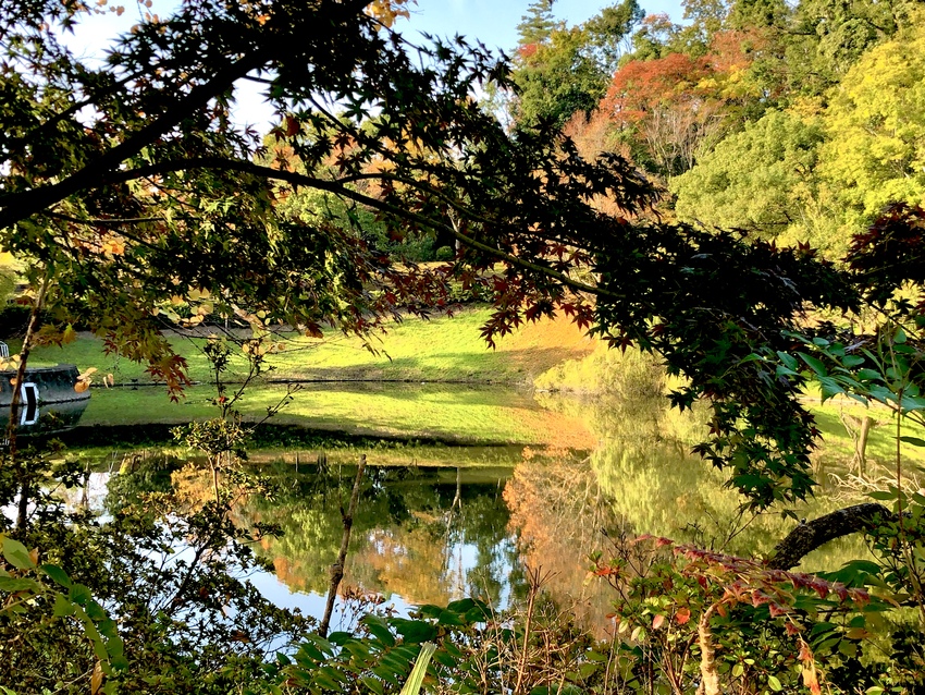 池の表面が鏡のようになって紅葉...