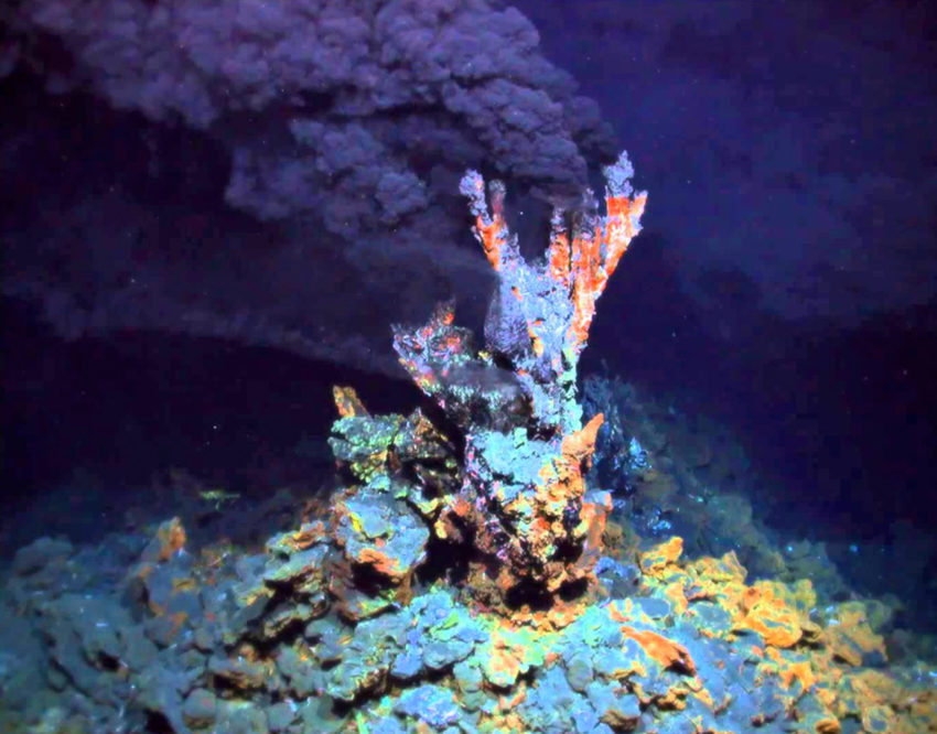 Deep sea vents hold building b...