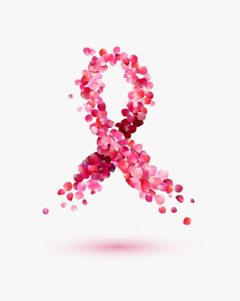 October is Breast Cancer Awa...