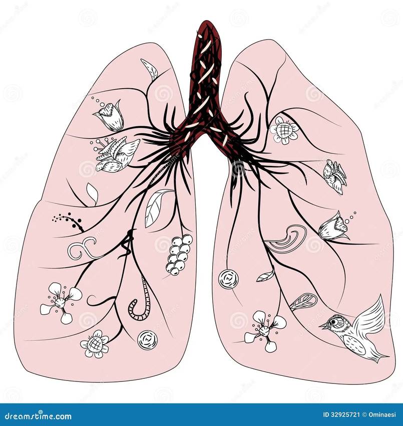 Gut-to-lung communication aide...