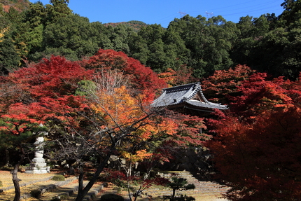 紅葉＜東光寺＞(1)