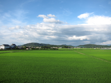 梅雨明けカウントダウン？