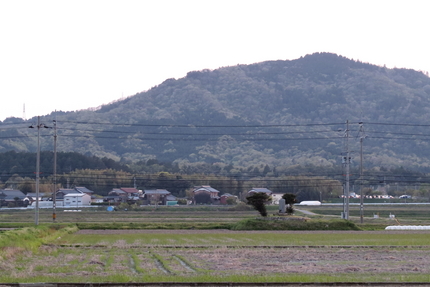 いつのまにか新緑の季節へ