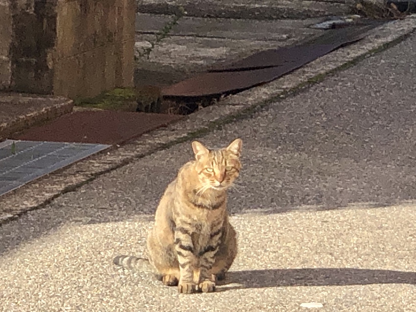 あなたの人生の対極