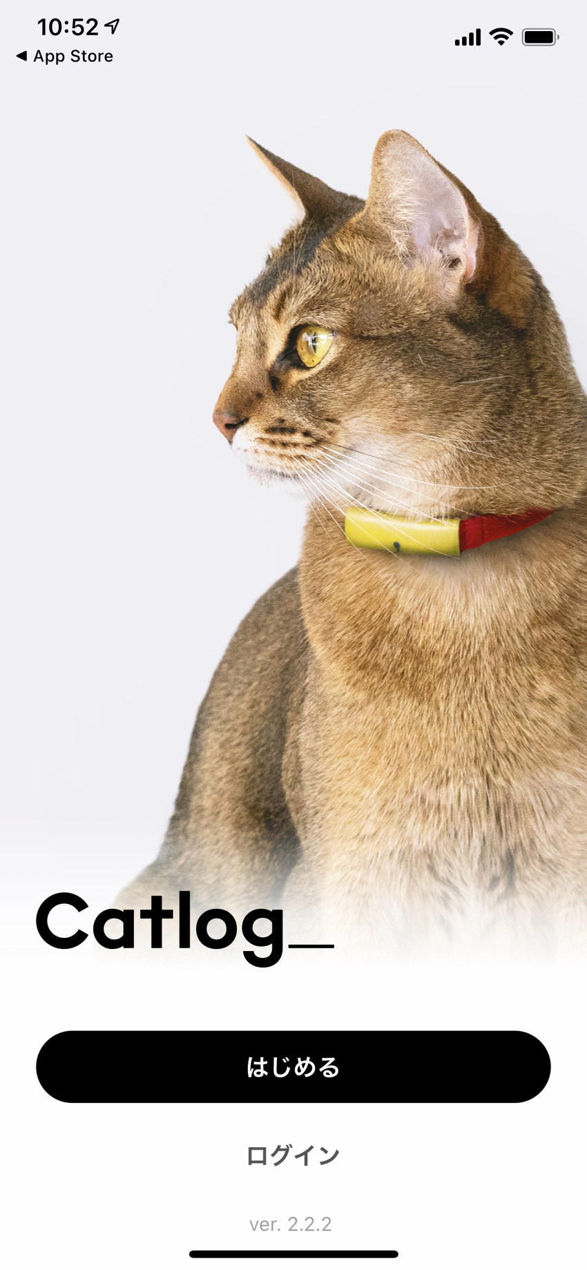 我が家のにゃおん。 CatLo...