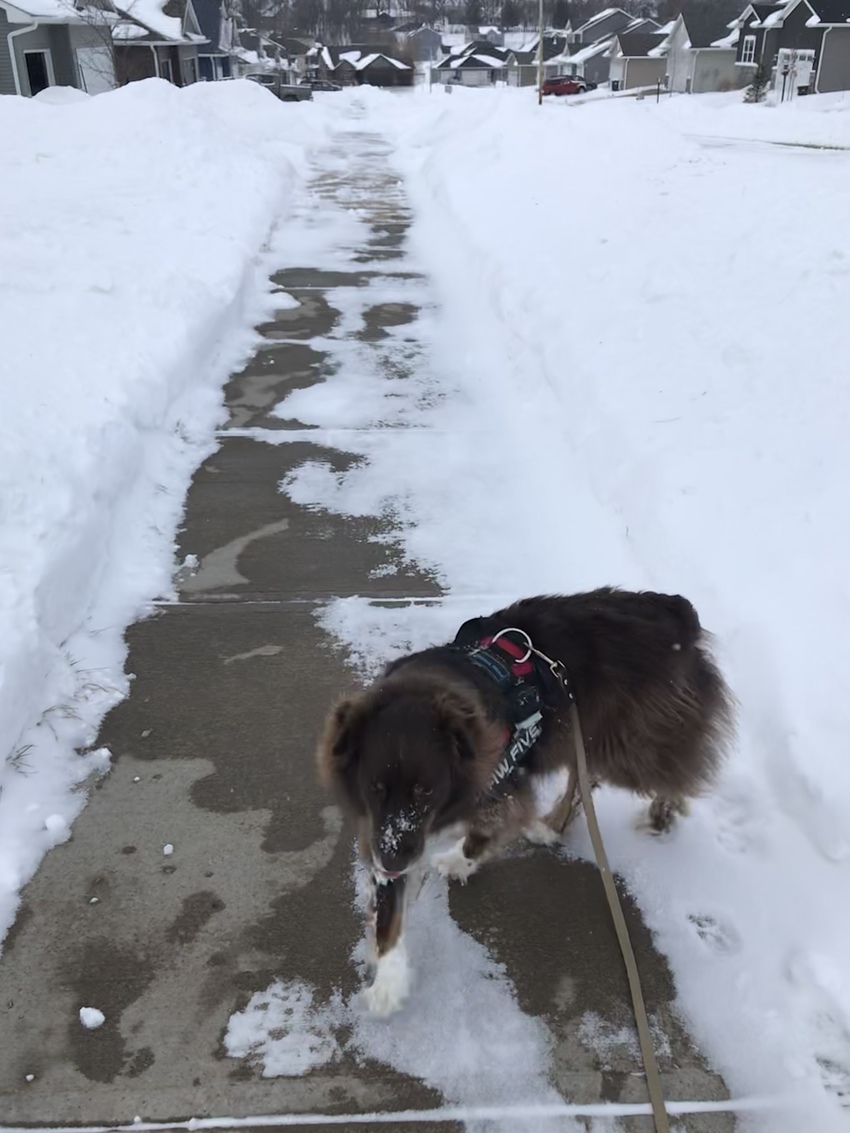 sidewalkの除雪がまださ...