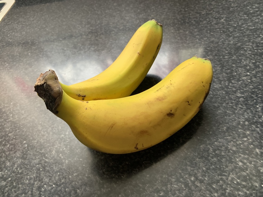 バナナじゃないよ、platan...