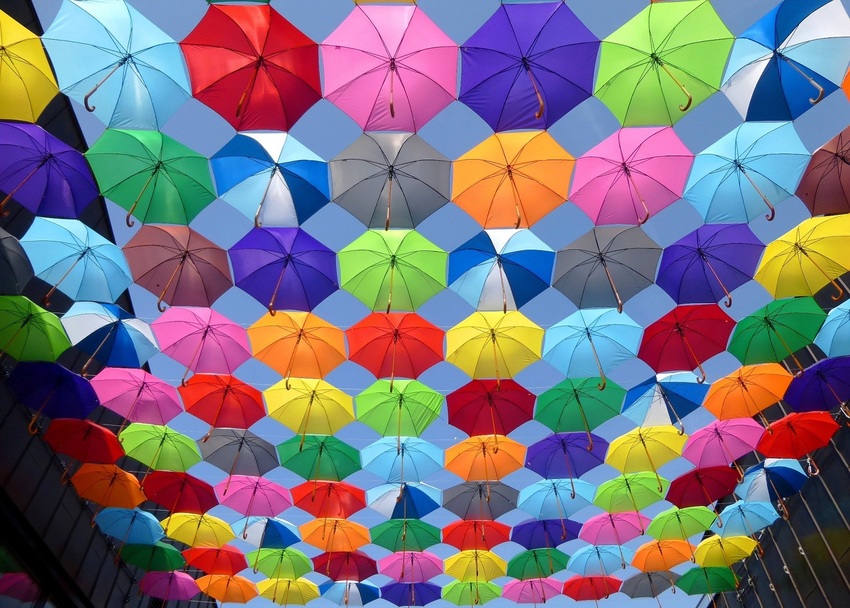どの傘が欲しい？