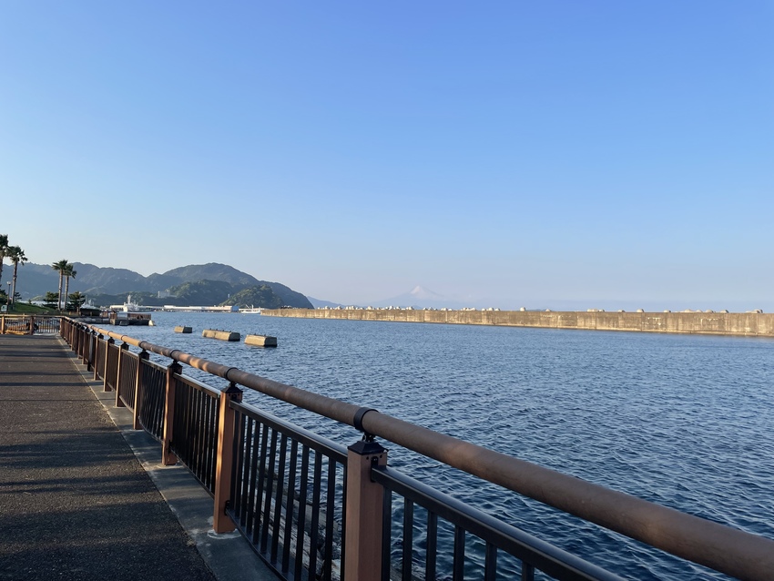 霞んでるけど富士山が見えました...