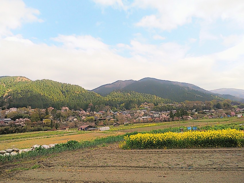 京都の大原へ、里山ウォーキング...