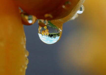 雨の降った後に見える世界･･･...