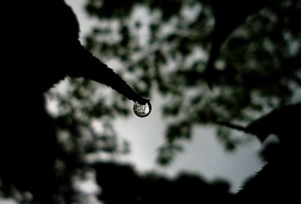 冷たい雨・・・。