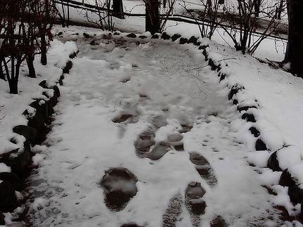 雪のやんだ朝・・・(6)