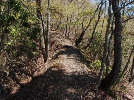 「鍋割山」登山記・・・（１２）