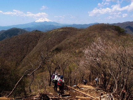 「鍋割山」登山記・・・（１4）