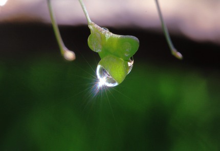 雨が止んで・・・。