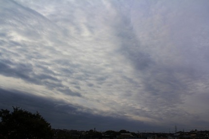 今日の朝の空は・・・。