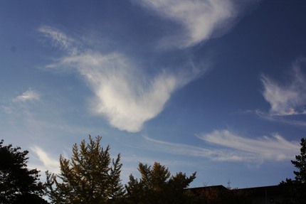 今日の朝の空は・・・。