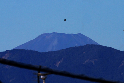 今日の富士山は・・・。