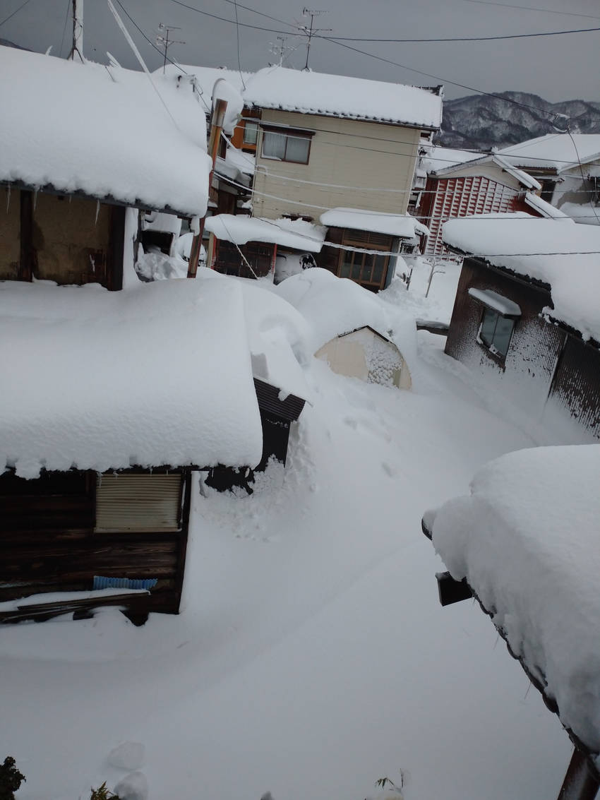 新潟は雪