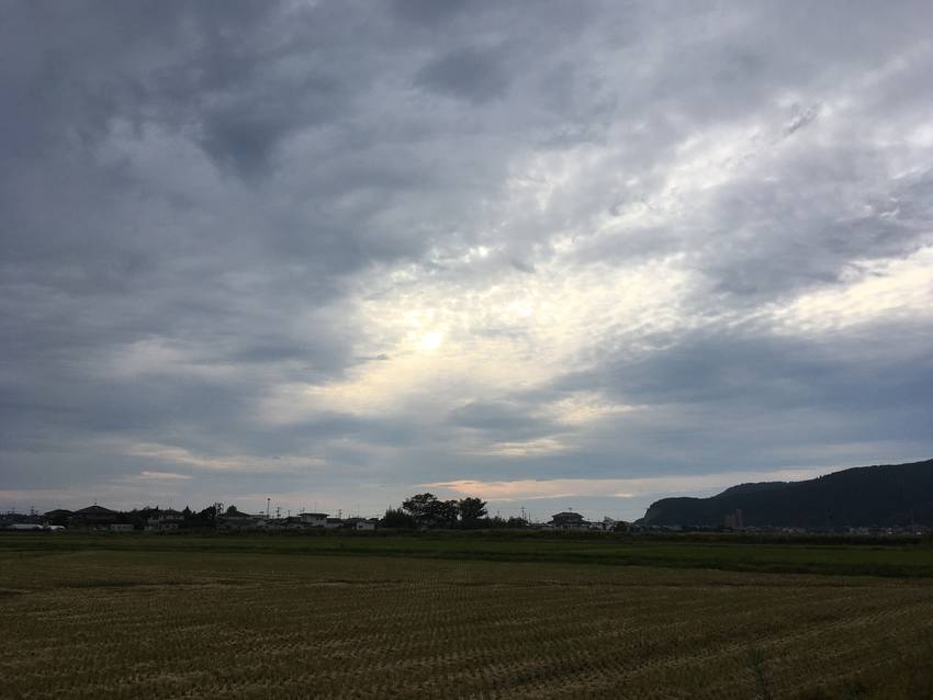 「いま得られる答え」を追いかけ...