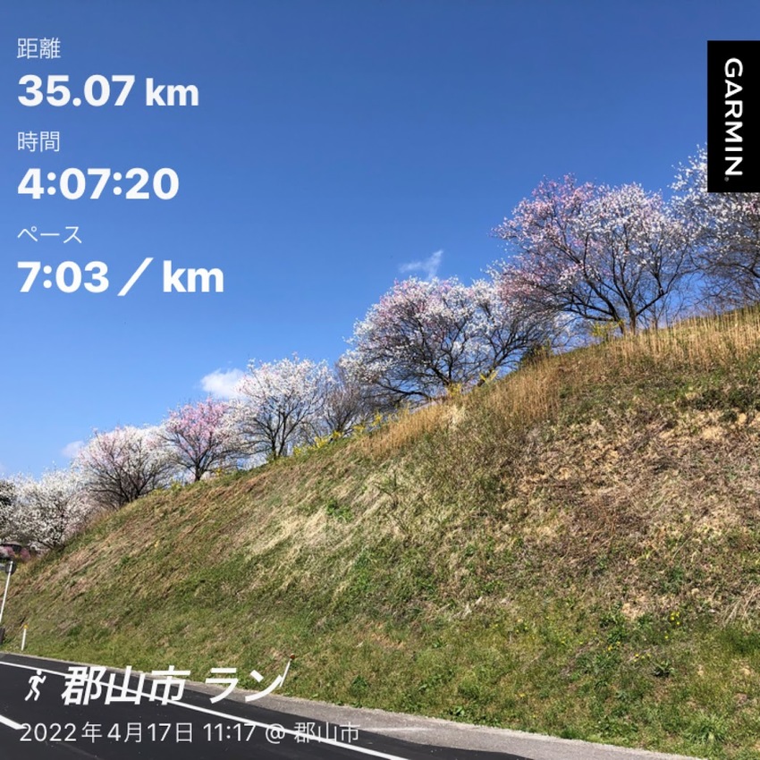 【Day171】35km走、ク...