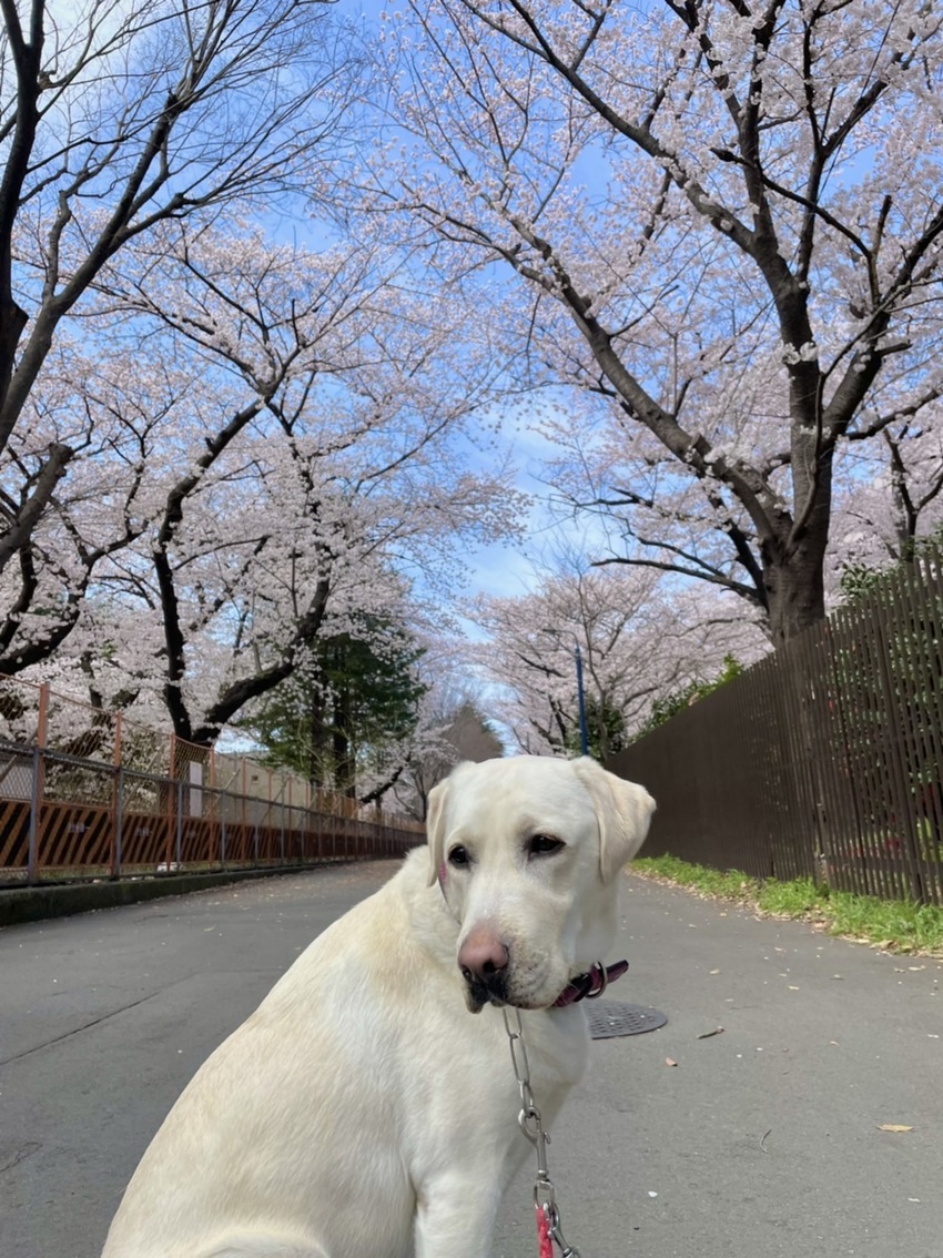 誕生日、おめでとう！