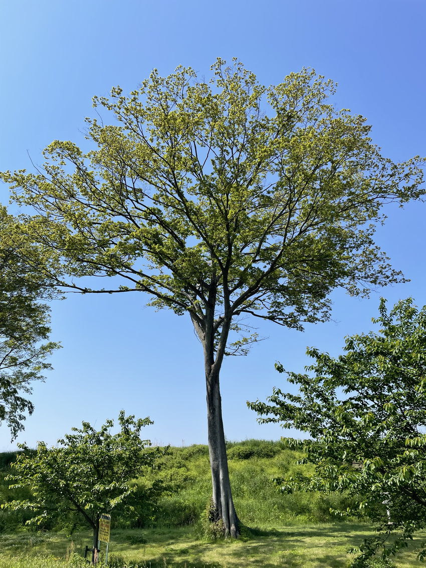 自分と未来は変えられる