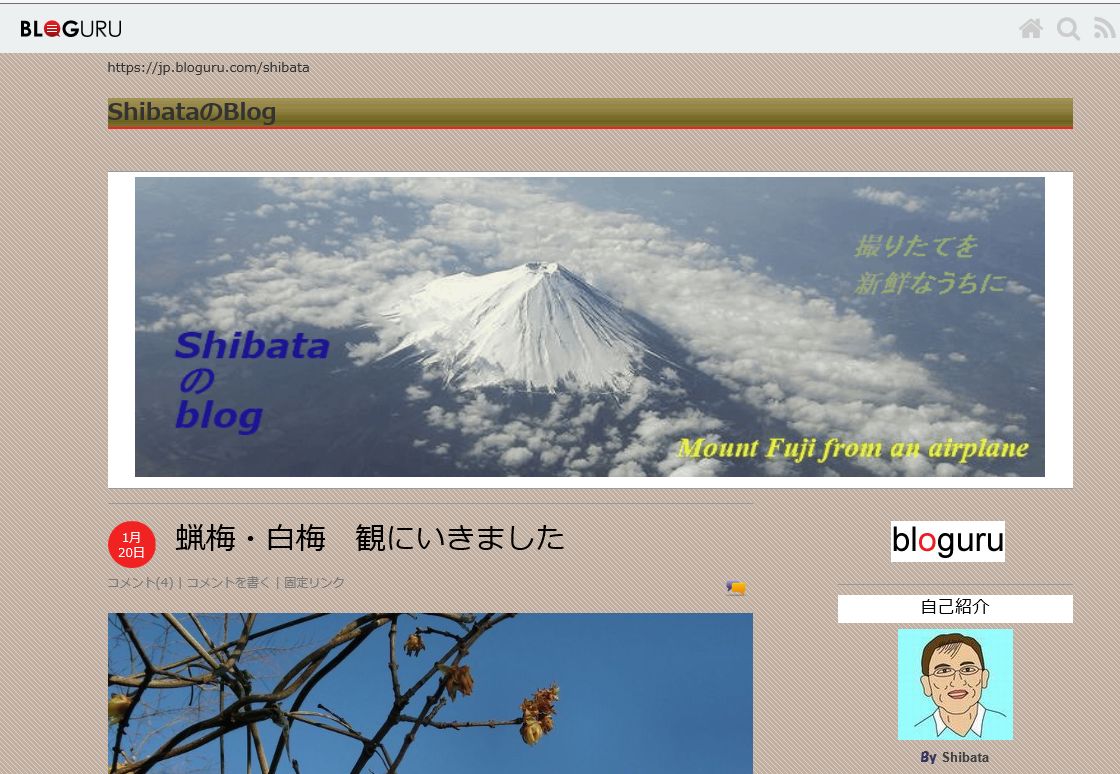 フリースペースの画像が表示されない Shibataのblog Bloguru