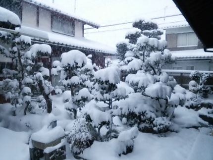 今朝の雪