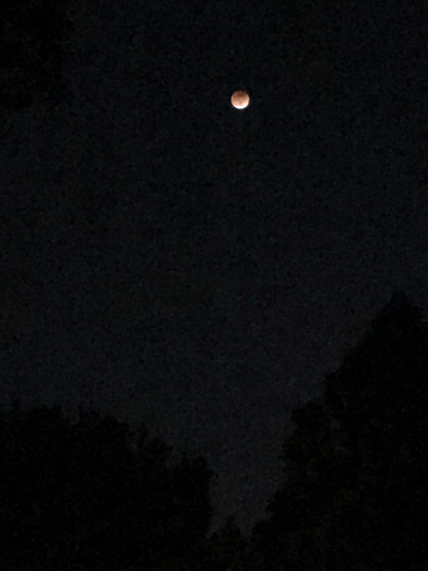Lunar Eclipse 2022 Blood Moon