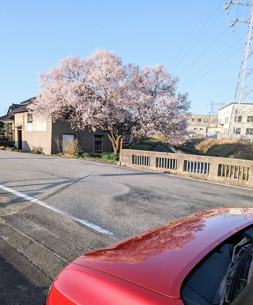 ４月になりました