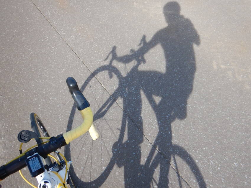 昨朝に続いて、今朝も自転車漕ぎ...