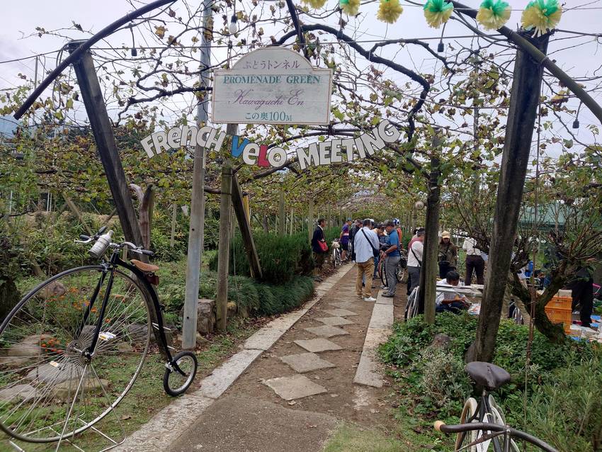 French Velo Meeting