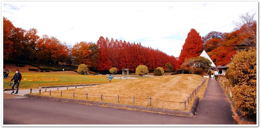 フランス式庭園の前広場（１）