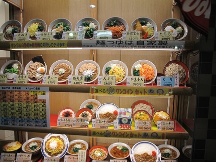 Japanese Plastic Show Case