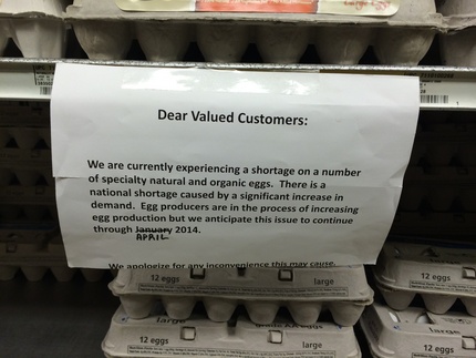 Organic Egg Shortage