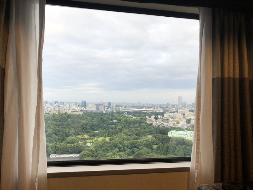 Cloudy Tokyo