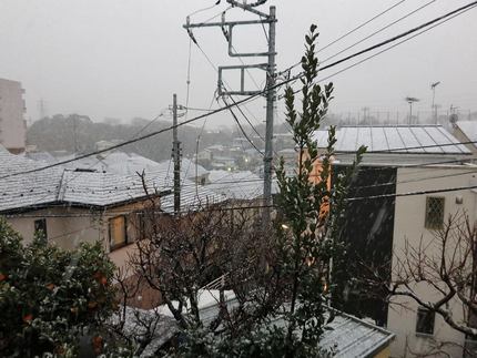 横浜は夕方から雪
