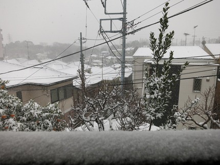 静かな朝　横浜も雪です。