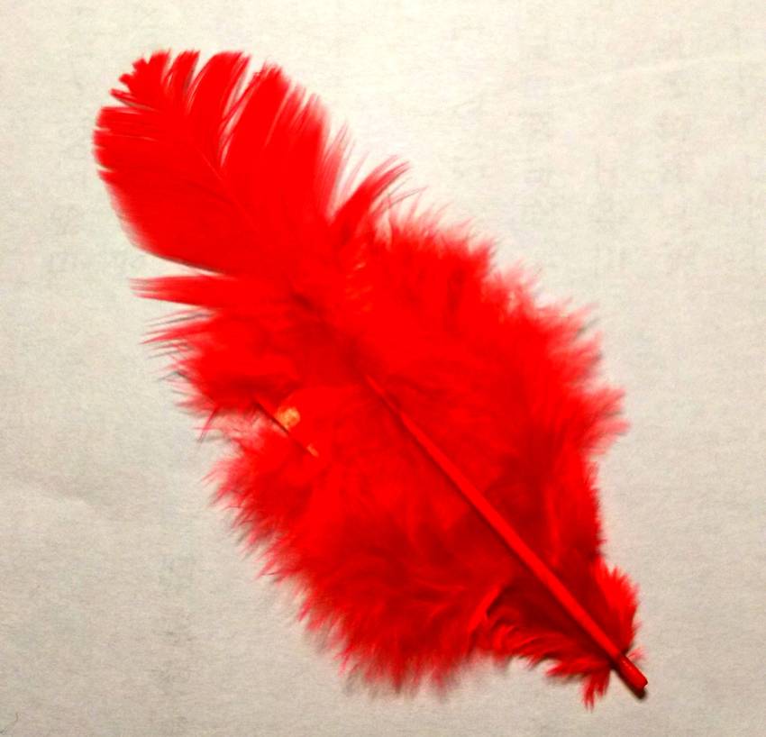 赤い羽根