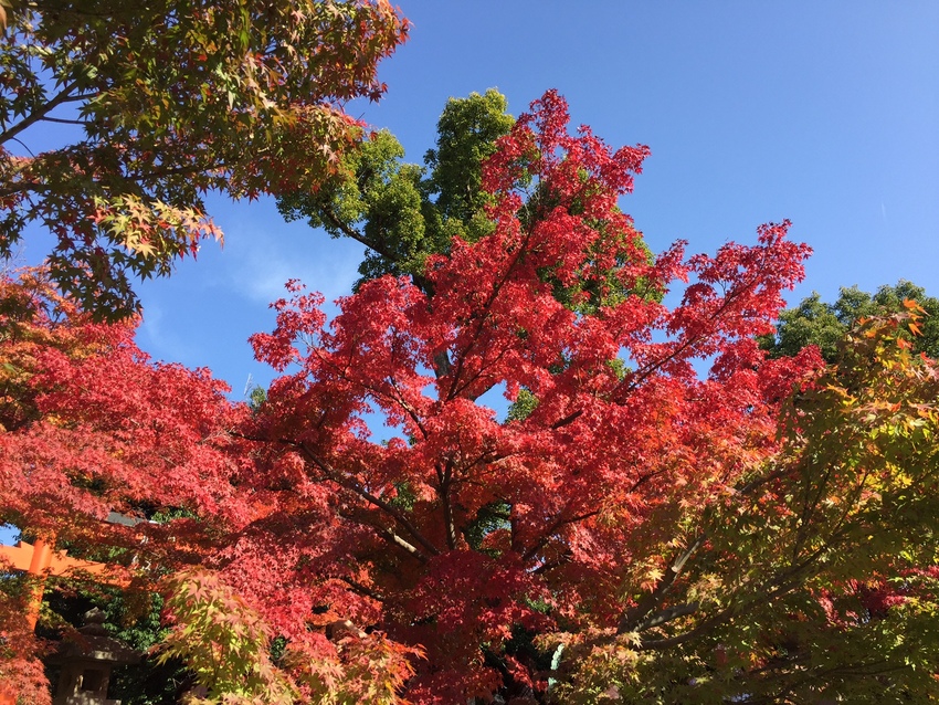 天龍寺にて