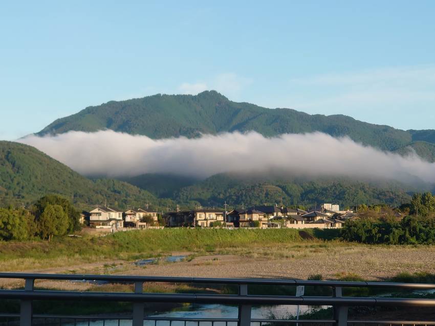 今朝の嵐山♪