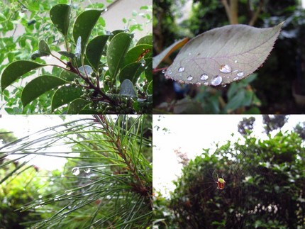 秋雨前線大活躍